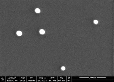 Peptide Functionalization of Gold Nanoparticles for the Detection of Carcinoembryonic Antigen in Blood Plasma via SPR-Based Biosensor